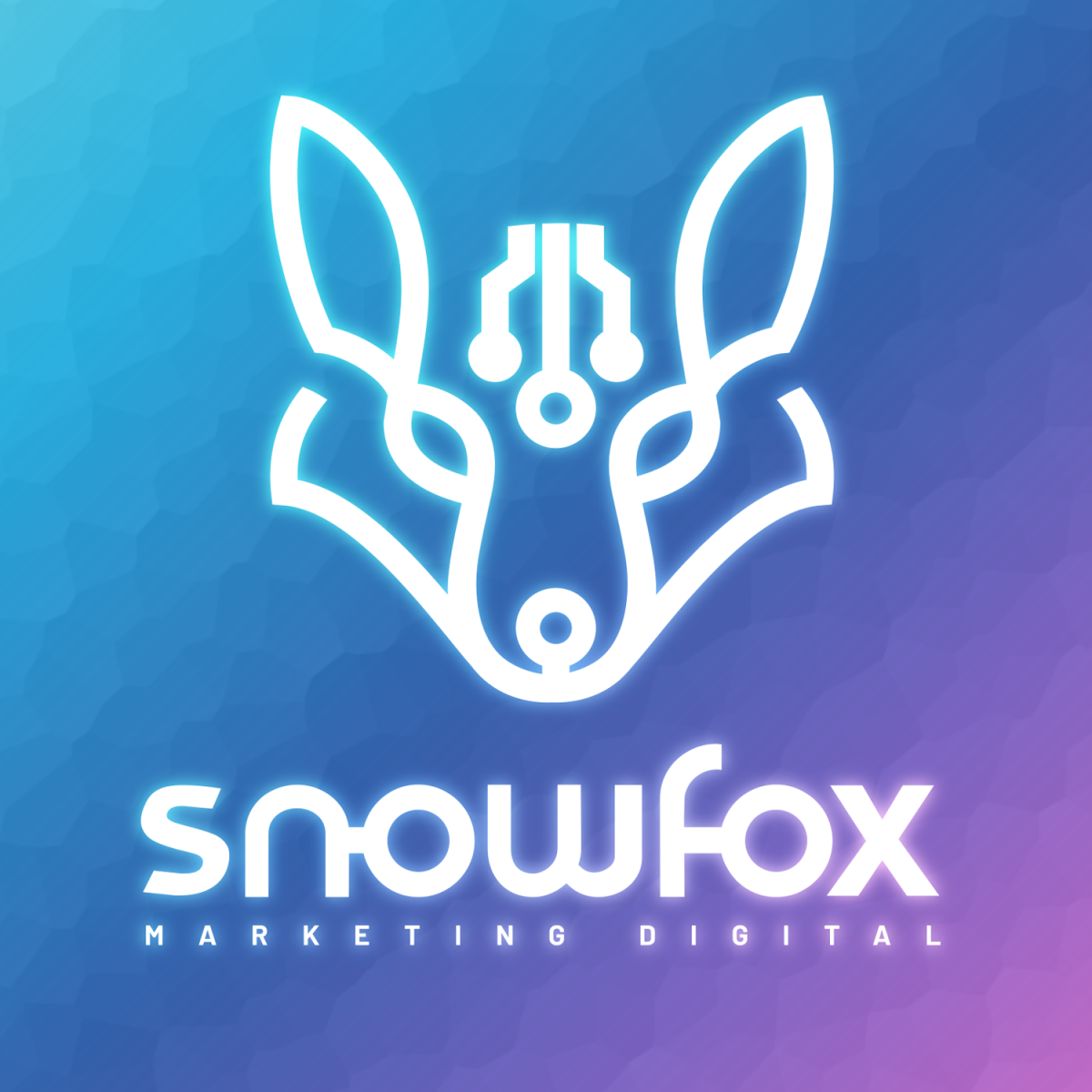 snowfox_id_07.png